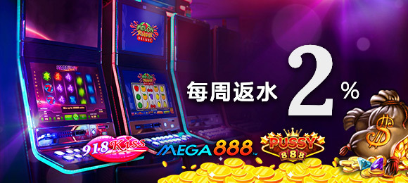 每周现金回扣 2%